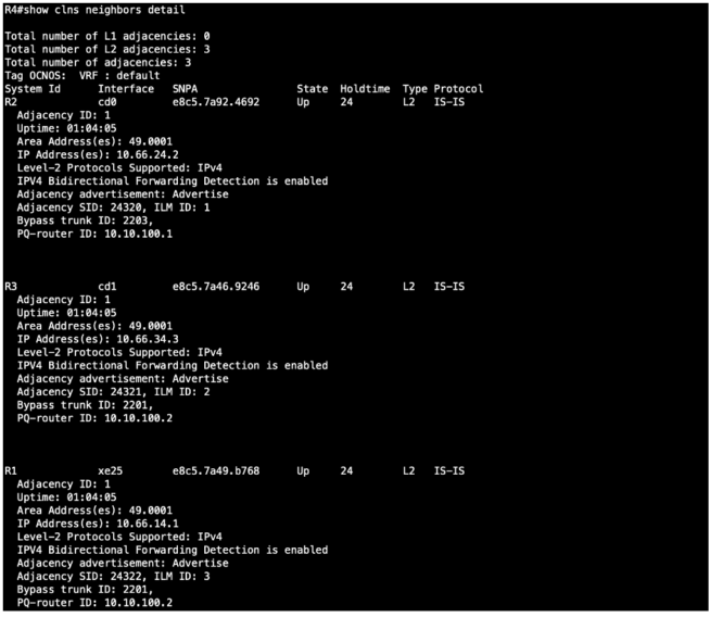 Flex-Algo In OcNOS: Optimizing Network Paths Using TE-Metric IP Infusion