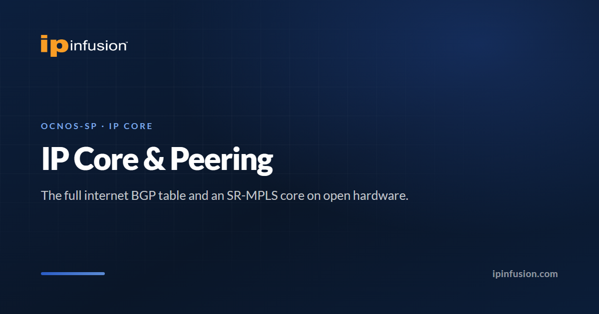 Open IP Core and Peering Router | Full-Table BGP + SR-MPLS | IP Infusion