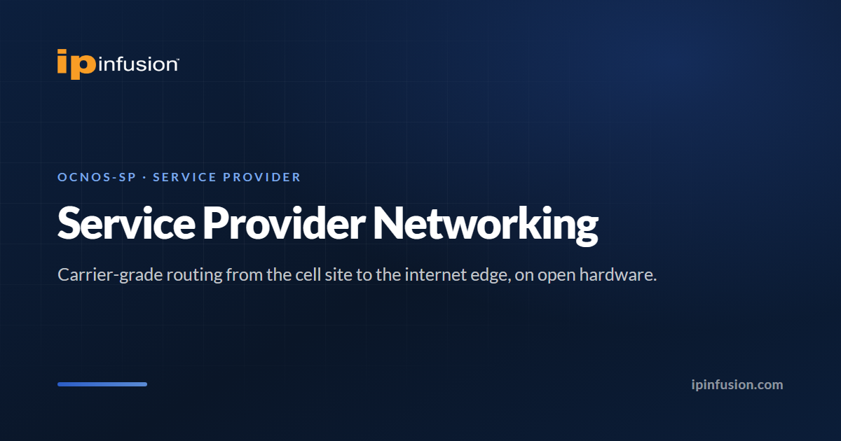 Service Provider Networking | OcNOS-SP Carrier-Grade Routing on