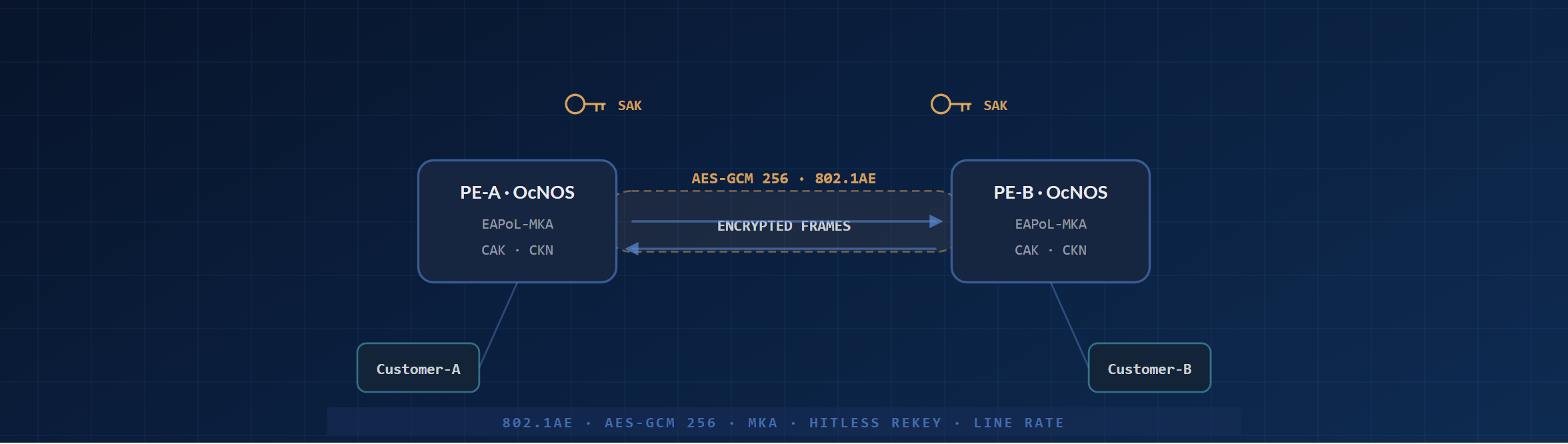 Topologia MACsec: due router OcNOS collegati da un link point-to-point cifrato con AES-GCM 256