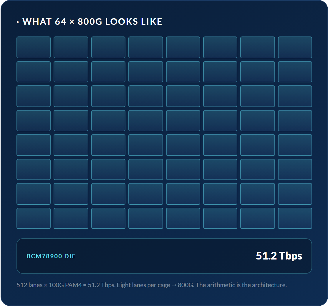 Broadcom Tomahawk 5 (BCM78900) port radix shown as a grid of 64 ports, each 800G QSFP-DD, totaling 51.2 Tbps of switching on a single die